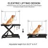 electric pet grooming table, 110V/220V professional groomer recommend super Deluxe electric pet grooming table, 110V/220V professional groomer recomme